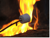 CAMPFIRE