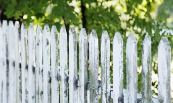 Repristinator or Reposer?