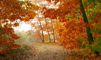 Does Your Life Leave a Trail of Goodness and Kindness?