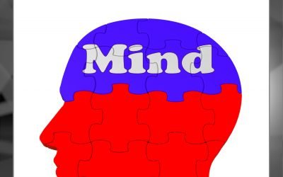 What’s on Your Watchlist? (Part 2)