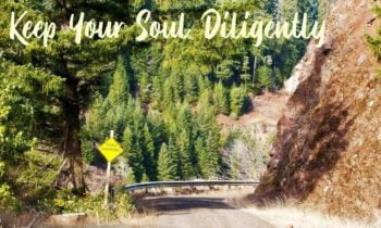 Part Two: Lessons I’ve Learned as a Grandparent… and Am Still Learning