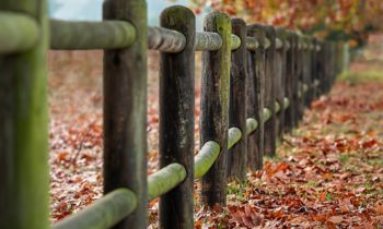 Grandparent Boundaries