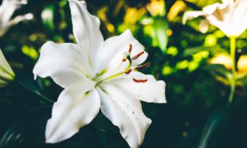 Easter Ideas to Help You Make the Most of the Day