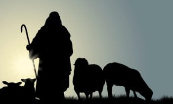 Jesus is the Good Shepherd