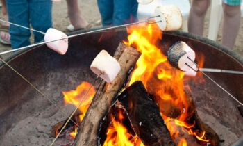 MORE About GrandCamp