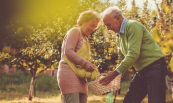 Fruit of the Spirit – Kindness