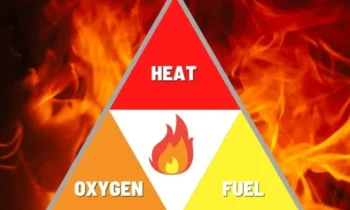 Fiery Tongue Syndrome: 3 Primary Components