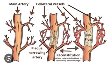 The Enduring Heart Legacy of a Father and Grandfather