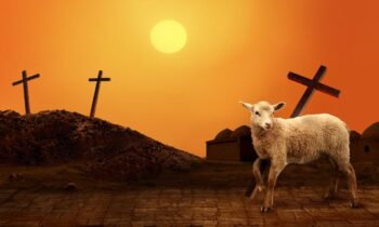 Discovering Jesus – The Lamb of God