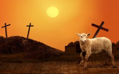 Discovering Jesus – The Lamb of God