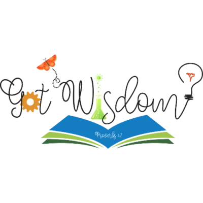 GotWisdom_FINAL_COLOR_500-400×400.png.webp